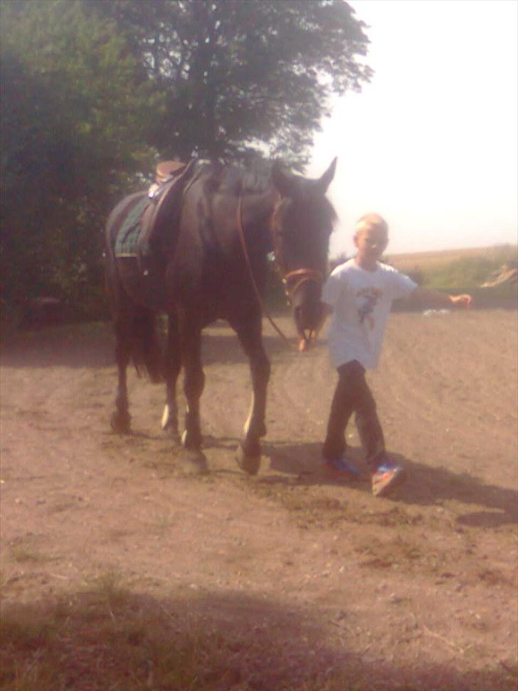 Oldenborg Okholms Makker  - Patrick går med Makker billede 16