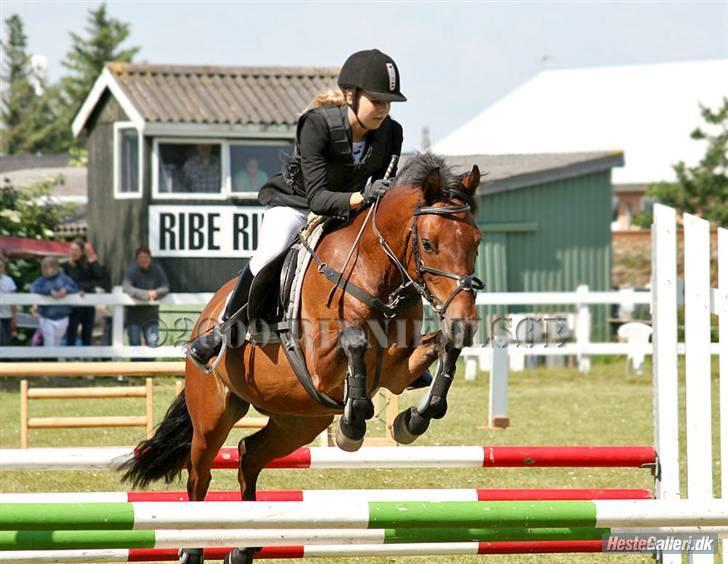 Anden særlig race Ofelia - sidste stævne på en fantastisk pony :/ <3 vi vandt :D billede 14