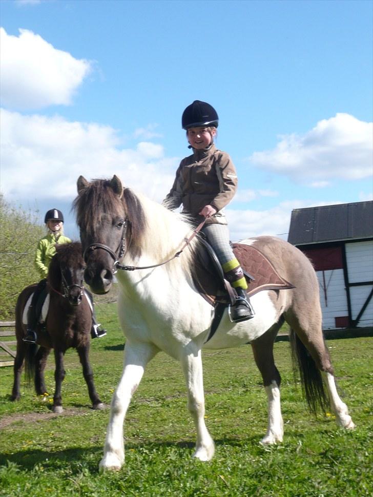 Anden særlig race Tarzan - Så er Katrine oppe og ride, med Helena og Olafur i baggrunden :D billede 2