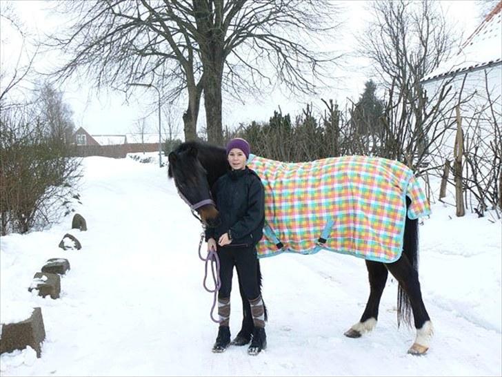 Anden særlig race Cindy  - Cindy og jeg <3 vinter 2010 <3 billede 4