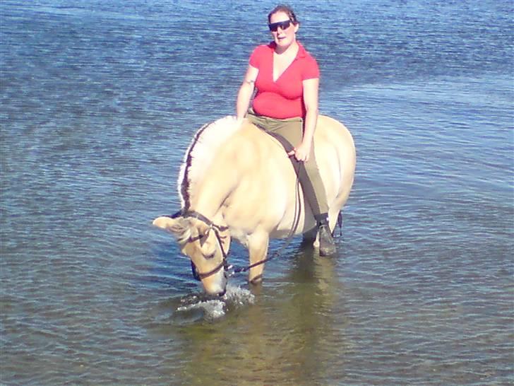 Fjordhest Knold - Badedyret billede 19