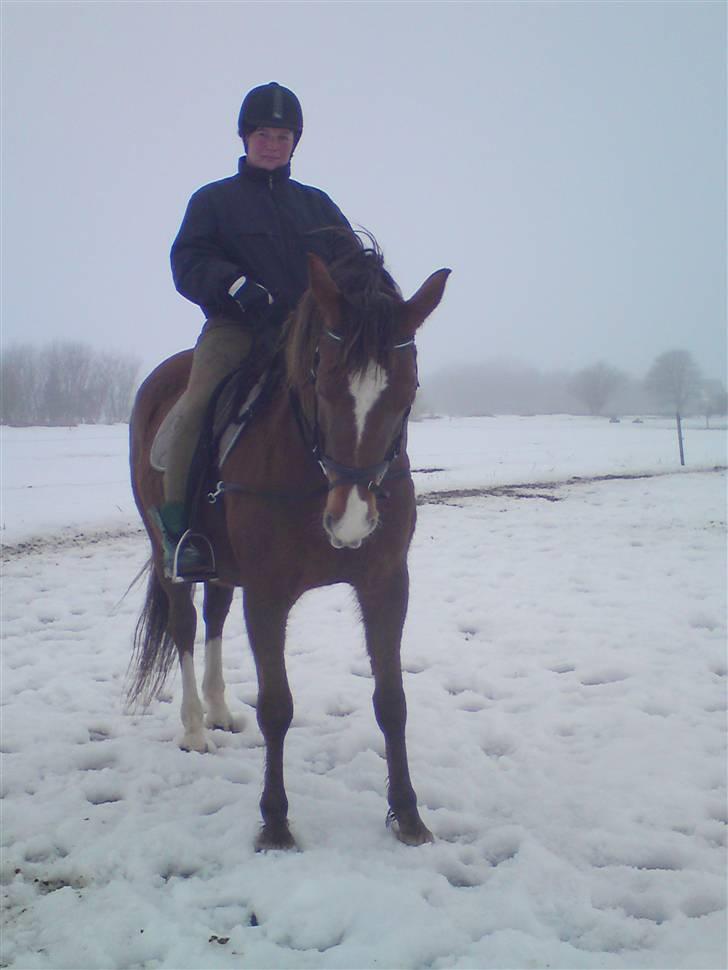 Anden særlig race Kiaya - Så er det igang med at lære pigen at gå til bidet!! Ved sgu ikke om det er Mor´en eller Pigen der er mest stædig!! billede 8