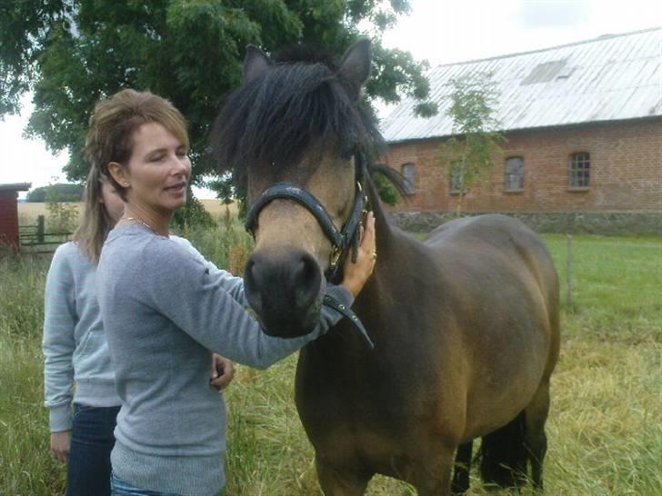 Anden særlig race Egtveds Emmely¤Solgt¤:S - Uhh Hvor er du sød mor jeg elsker dig<3!!(På Græs) billede 15