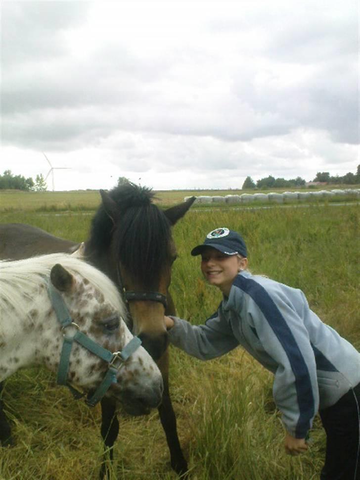 Anden særlig race Egtveds Emmely¤Solgt¤:S - Emmely,Chirocko og mig:-D<3<3 De var på græs;-D billede 16