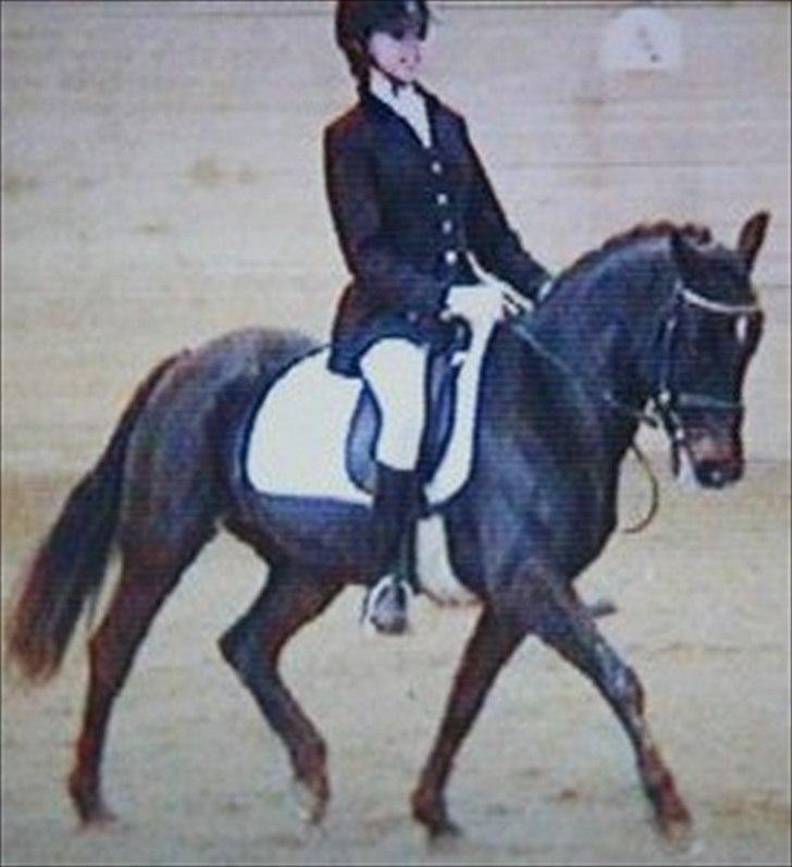 Anden særlig race Natasja (Tusja) - 21.12.10 - Vores første LA1. billede 2