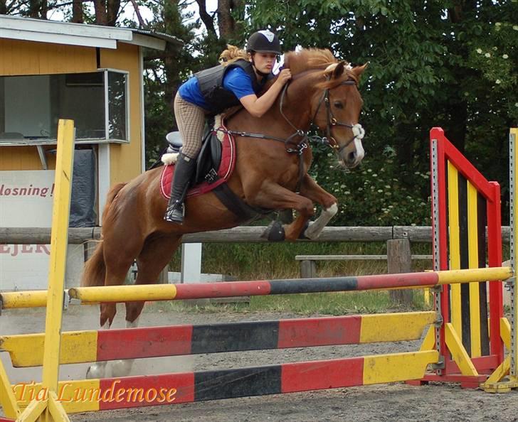 DSP Haahr's FlickaSOLGT/R.I.P - 16... Tiderne med dig skat vil ALDRIG nogen sinde blive glemt, jeg elsker dig glem det aldrig!:S<3 jeg savner dig så meget!(L) billede 16