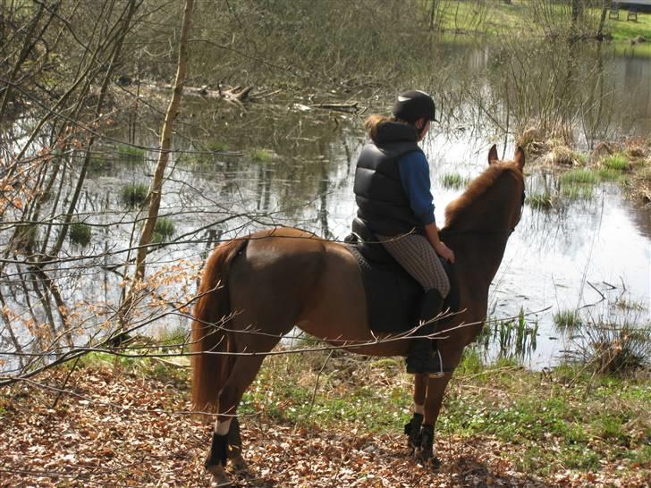 DSP Haahr's FlickaSOLGT/R.I.P - 17Tiderne med dig skat vil ALDRIG nogen sinde blive glemt, jeg elsker dig glem det aldrig!:S<3 jeg savner dig så meget!(L) billede 17