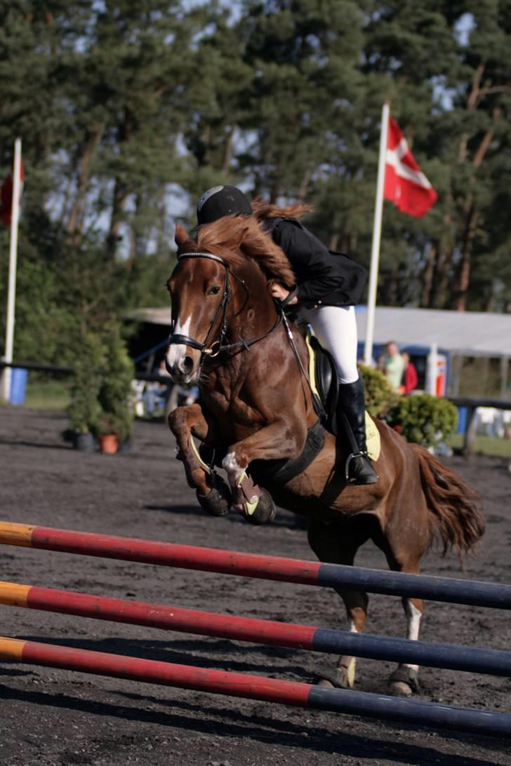 DSP Haahr's FlickaSOLGT/R.I.P - 18...Tiderne med dig skat vil ALDRIG nogen sinde blive glemt, jeg elsker dig glem det aldrig!:S<3 jeg savner dig så meget!(L) billede 18