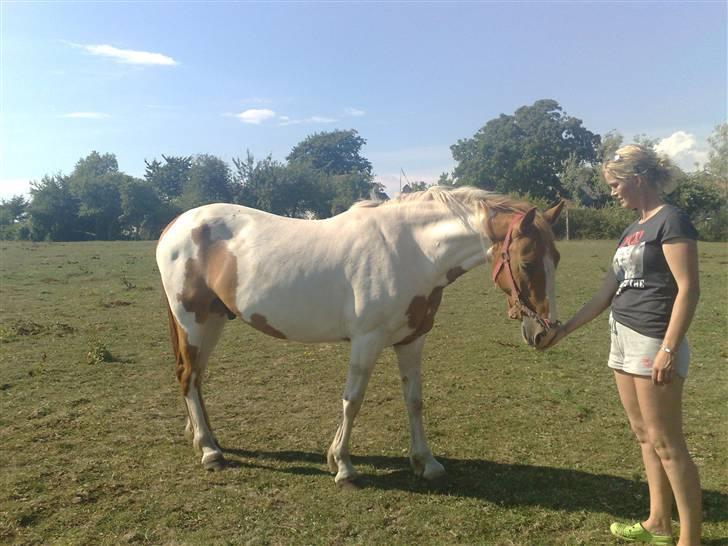 Anden særlig race ktm mx ramon*solgt* - den dag vi var ude og kigge på ham  billede 1