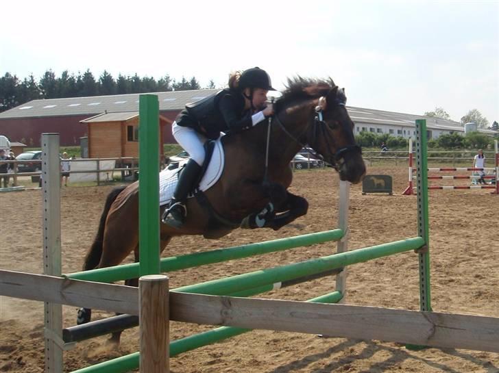 New Forest Bastian ¤solgt&savnet¤ - Stævne i Vestbirk LA 1. plads <3 (: billede 19