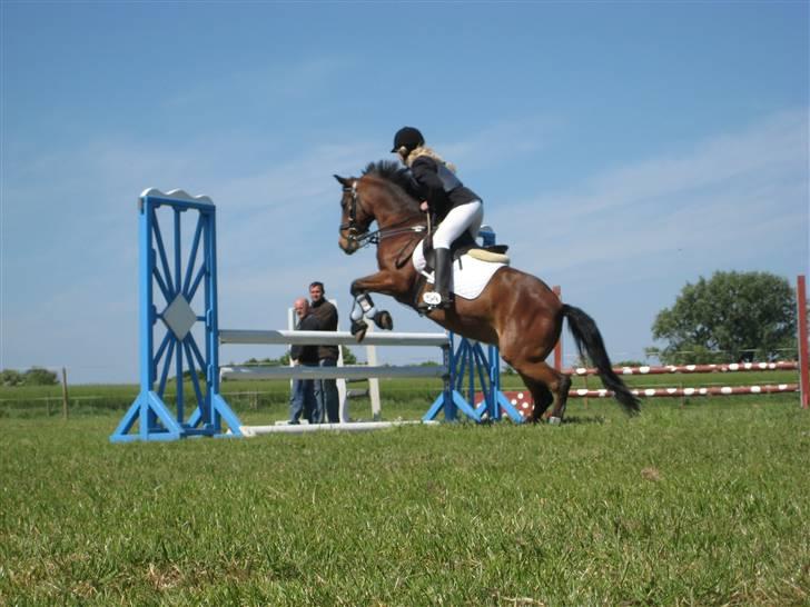 DSP Marengo - SOLGT :'( :'( - 1 plads i LC spring billede 2