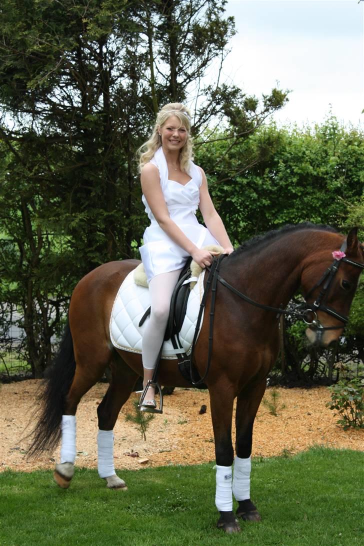 DSP Marengo - SOLGT :'( :'( - Til min konfirmation <3  billede 3