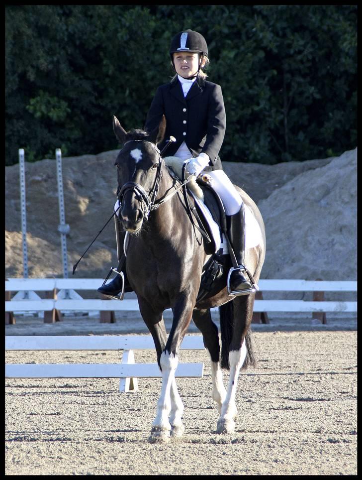 Pinto Nikita - Hestival 2008 billede 9