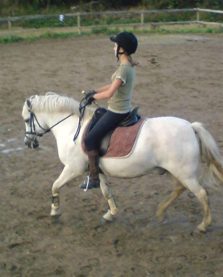 Anden særlig race Mizar <3 billede 13