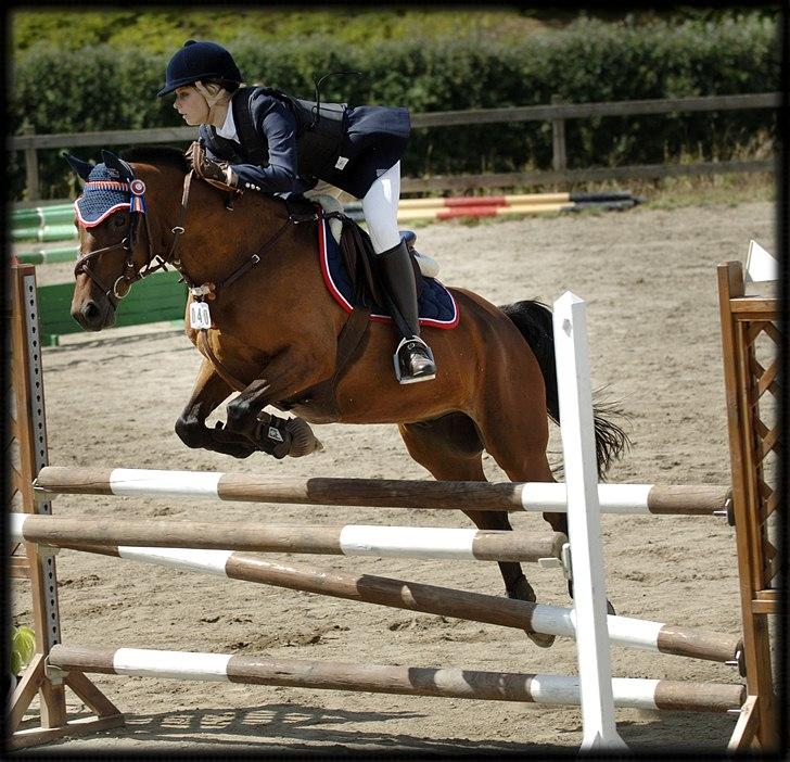 Belgisk Sportspony Cawello *SOLGT* - velkommen til stjernens profil :) kig omkring og smid gerne en bedømmelse og en kommentar :´) billede 1