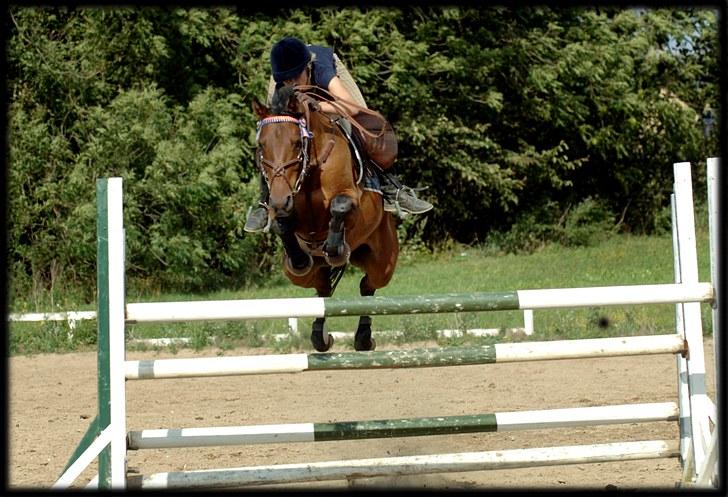 Belgisk Sportspony Cawello *SOLGT* - det her billede betyder ret meget for mig! for den her dag hoppede vi bane på 125-135cm!!! glemmer det aldrig!! (tag jer ikk af min opstilling) billede 15
