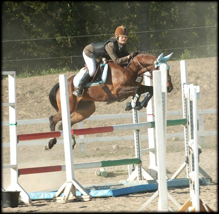 Belgisk Sportspony Cawello *SOLGT* - vores første MB :P billede 18