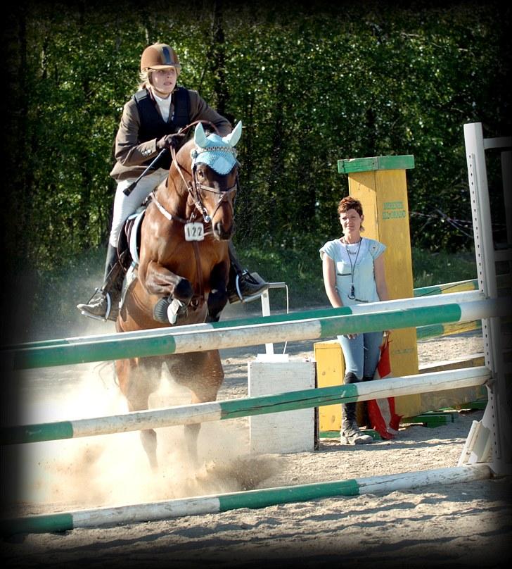 Belgisk Sportspony Cawello *SOLGT* - MB (tag jer ikk af min spasser opstilling ) billede 19