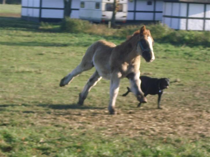 Jyde Rasmus - Rasmus og Kikki løber lige en tur : foto miig billede 1