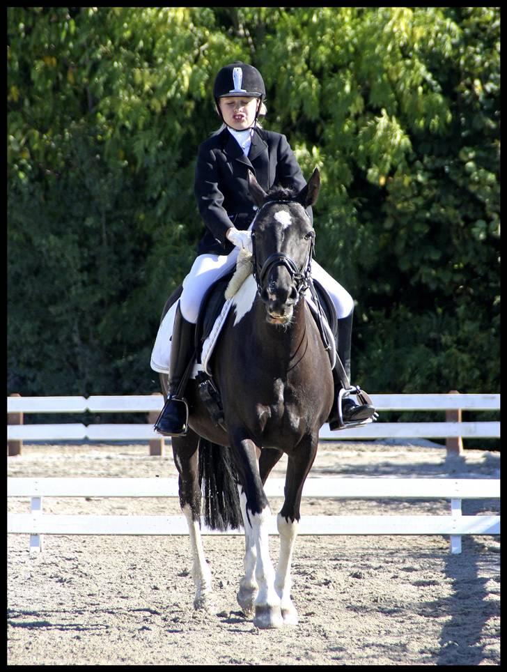 Pinto Nikita - Både hest og rytter skærer ansigter billede 16