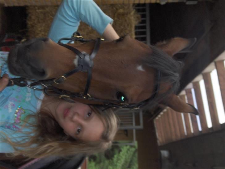 Welsh Pony (sec B) Leonie I LOVE YOU!(solgt) - mig og leonie  billede 5