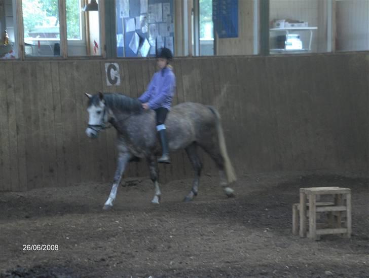 Anden særlig race Smilla min gamle part billede 3