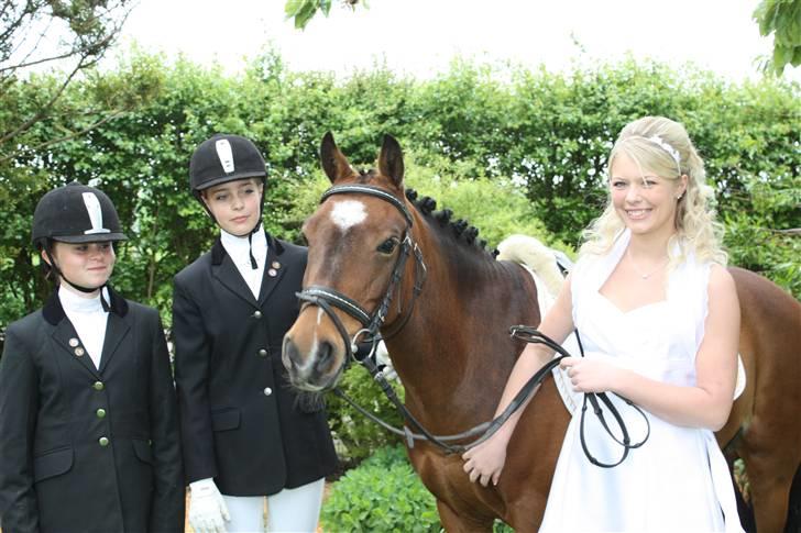 DSP Marengo - SOLGT :'( :'( - Konfirmation Fotograf : Søsters kæreste Nico  billede 5