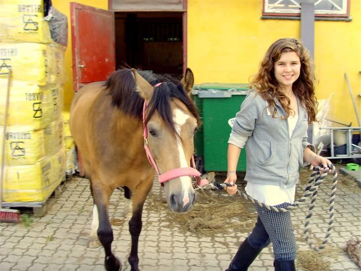Anden særlig race Diva<3 (Gl.part) SAVNET! - 4. ud af stalden :) billede 4