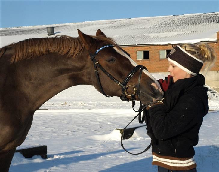 Tysk Sportspony Danubio 3 - R.I.P.  - Sne billed. 19 december 2009 billede 5