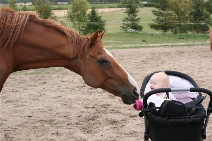 Fuldblod (XX) Madrilenjo - Maddie og min dejlige datter der bare er så super glade for hinanden billede 12