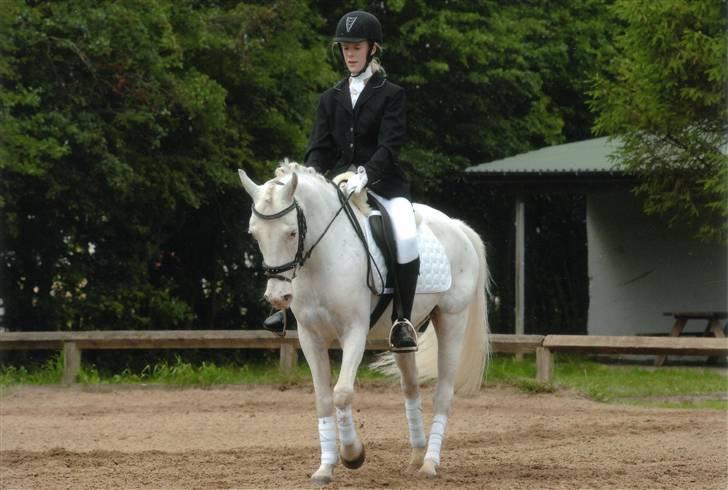 DSP ottelia billede 13