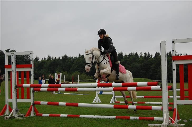 DSP ottelia billede 17