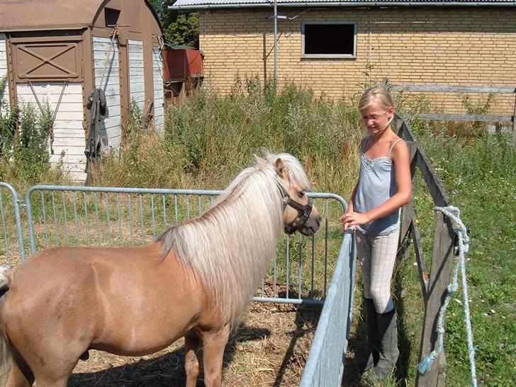 Anden særlig race Dunlet(har redet)<3<'3<3 - mig og dunlet billede 5