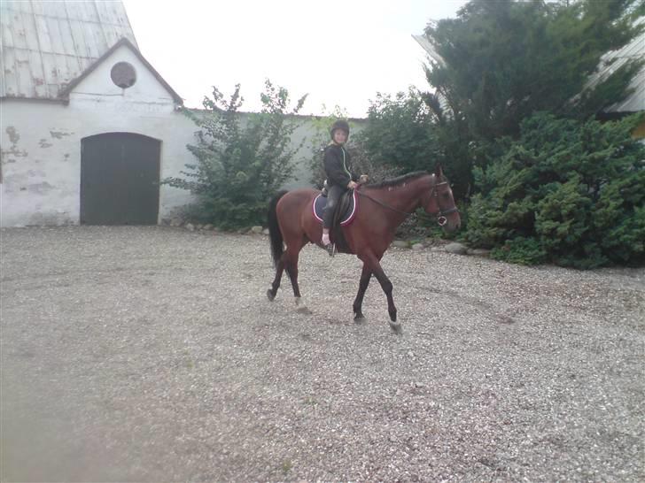 Traver Hr. Unispeed (Solgt) billede 6