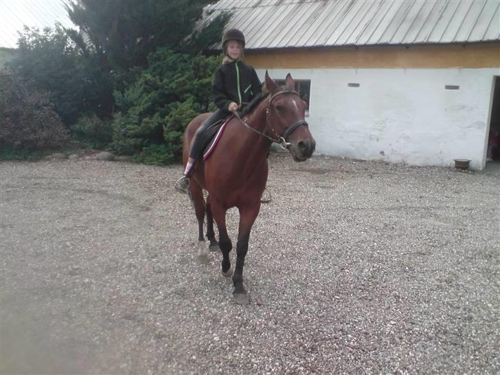 Traver Hr. Unispeed (Solgt) billede 7