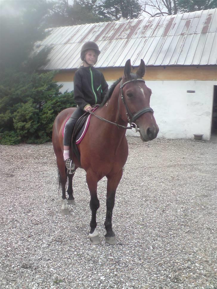 Traver Hr. Unispeed (Solgt) billede 8