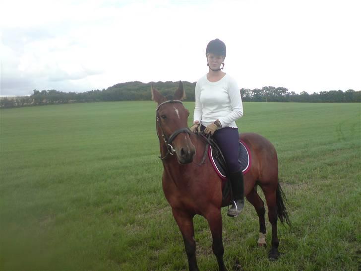 Traver Hr. Unispeed (Solgt) billede 10