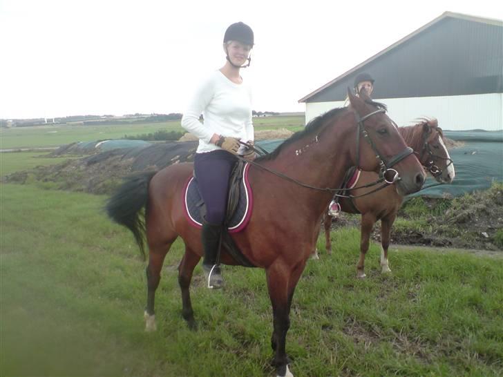 Traver Hr. Unispeed (Solgt) billede 12