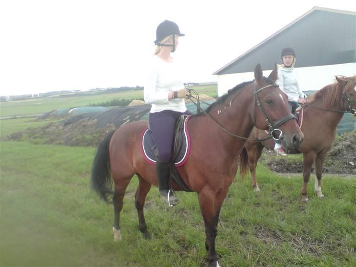 Traver Hr. Unispeed (Solgt) billede 13