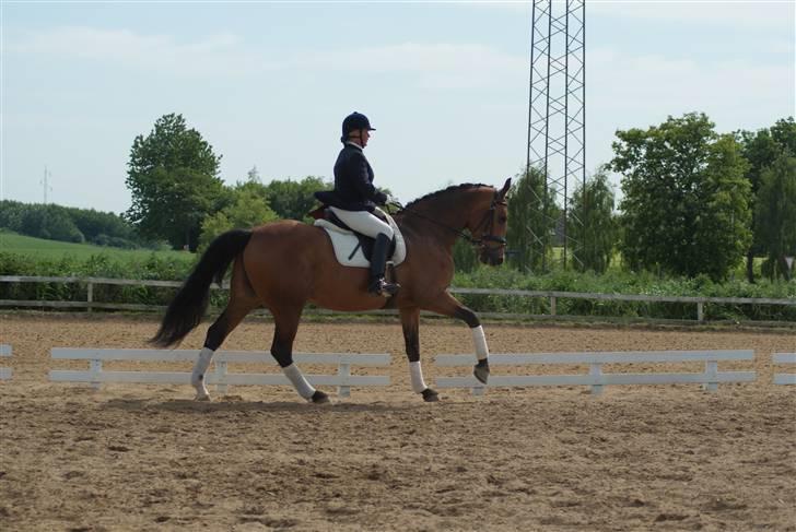 Dansk Varmblod Slandine-W RDH - Dine & Mor, stævne BOR 2009 - LA2 - Galop Øgning! billede 12