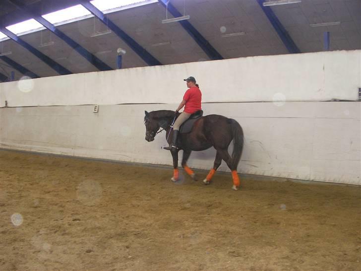 Anden særlig race Movie Star (Ejes af GLH) - Opvarmning Med Lotte! billede 8