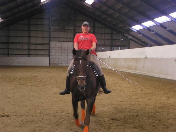 Anden særlig race Movie Star (Ejes af GLH) - Hej mone, her kommer vi ;) billede 9