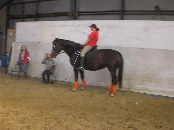 Anden særlig race Movie Star (Ejes af GLH) - Slut på en meget hård foto time ;) billede 12