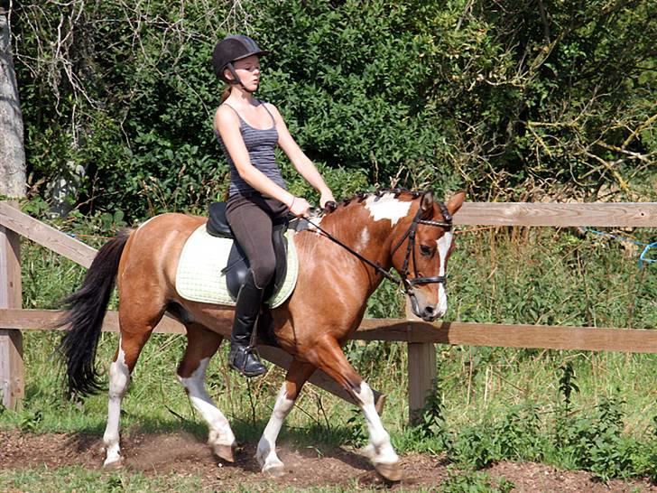 Anden særlig race Shrek billede 2