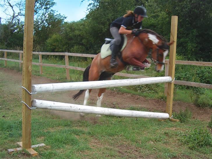 Anden særlig race Shrek billede 3