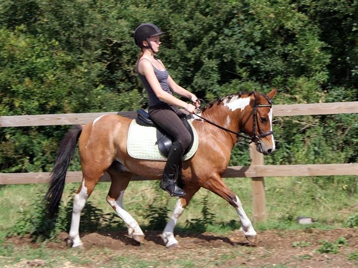 Anden særlig race Shrek billede 5