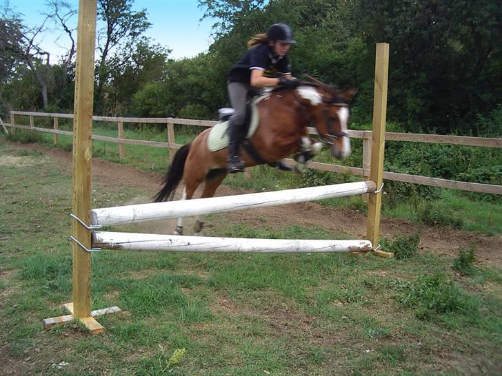 Anden særlig race Shrek billede 6