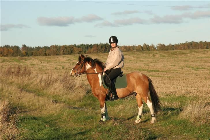 Anden særlig race Shrek billede 7