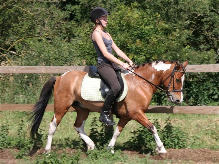 Anden særlig race Shrek billede 8