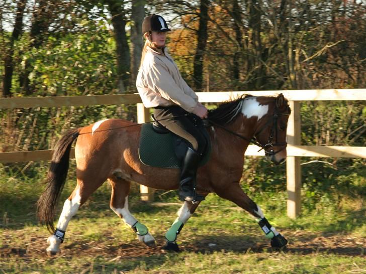 Anden særlig race Shrek billede 10